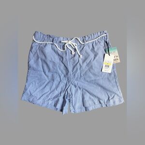 Per Se Light Blue Pinstripe Women's Shorts